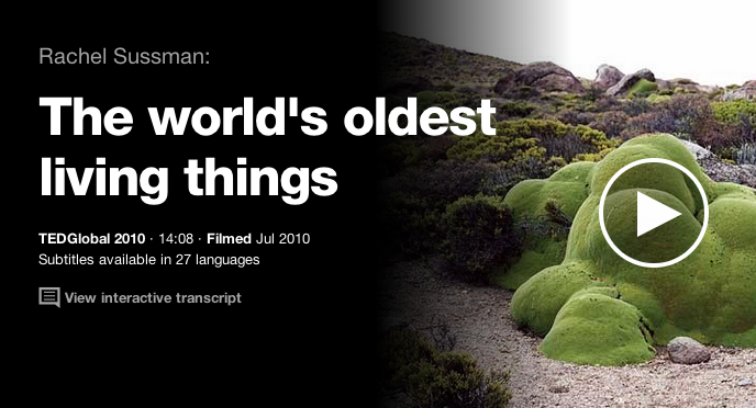 The Oldest Living Things in the WorldWatch & Listen